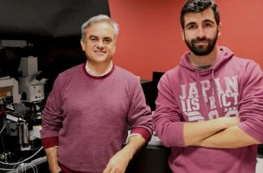 La UPO impulsa dos estudios con realidad virtual para mejorar el rendimiento deportivo y el envejecimiento activo - Universidad Pablo de Olavide